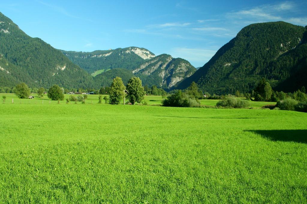 Appartement Weissbacher Lofer Kültér fotó