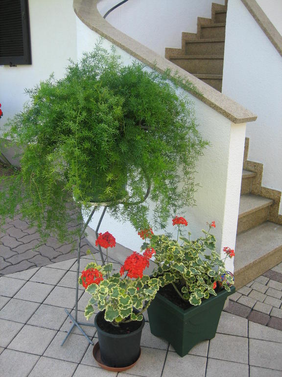 Appartement Weissbacher Lofer Kültér fotó